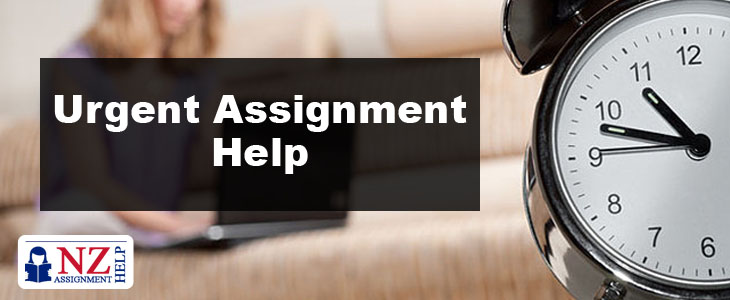 Urgent Assignment Help
