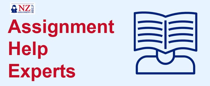 Assignment Help Experts