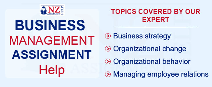 business assignment help