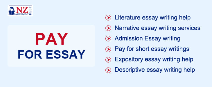 pay to write an essay