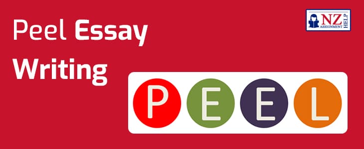 Peel Essay Writing