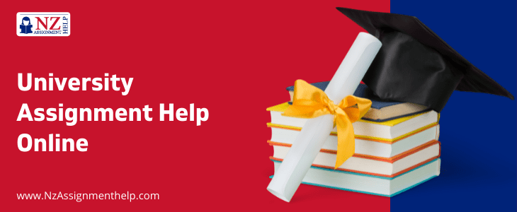 University Assignment Help