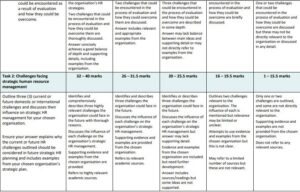 71333 Integrated Strategic Human Resource Assessment 2 & 3 : Implementation and Application Based on Organisational Strategic Objectives