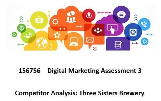 156756 Digital Marketing Assessment 3